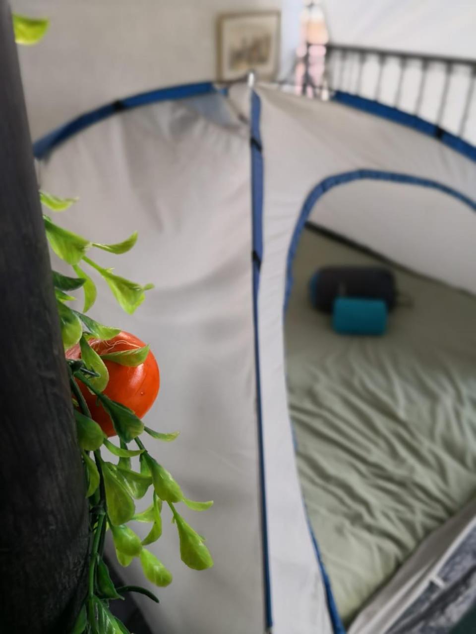 Camping & Travel Antigua Eksteriør billede