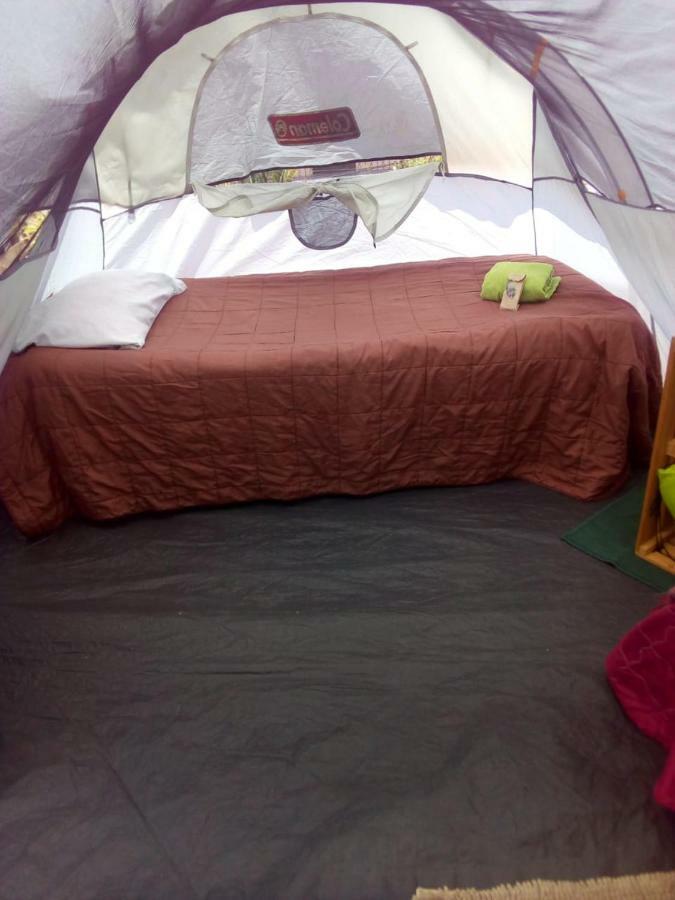 Camping & Travel Antigua Eksteriør billede